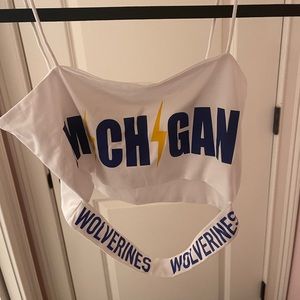University of michigan top